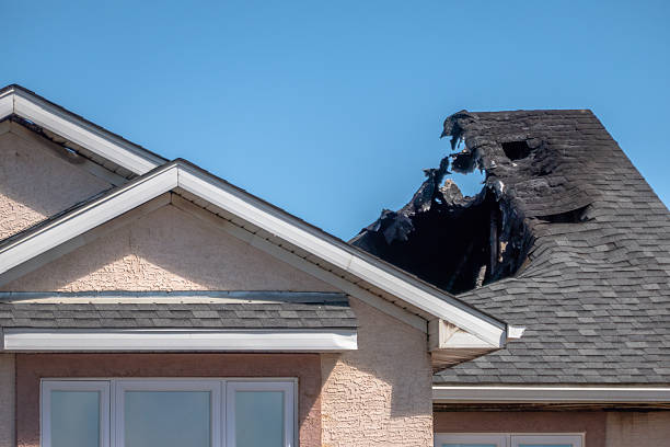 Licensed Content Restoration service in Webster, MN - Fire Damage Biloxi
